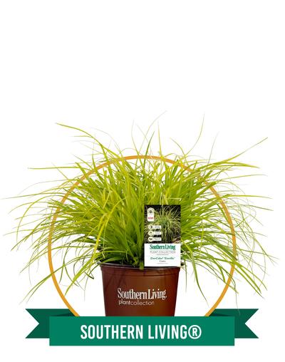 Southern Living® Plants