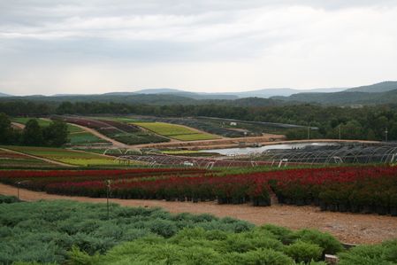 oklahoma hill park greenleaf nursery ok locations company