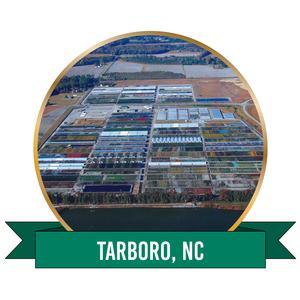 Tarboro, NC