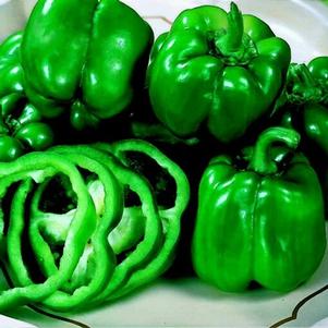 Capsicum annuum 'California Wonder' 