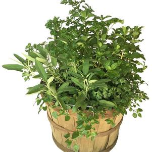 Basket Mixed Herbs 