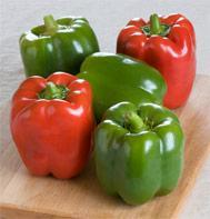 Capsicum annuum 'Olympus' 