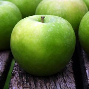 Malus 'Early Harvest' 